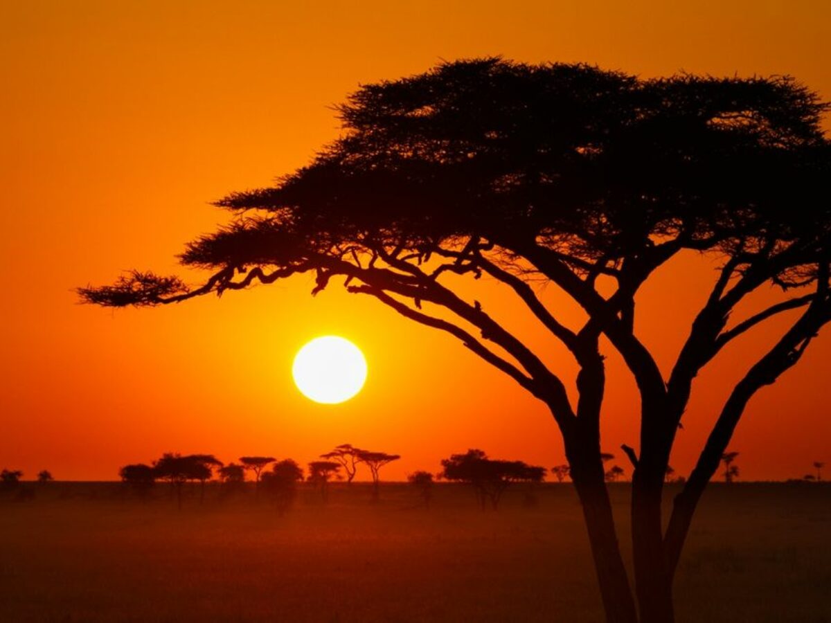 Contes des pays du Maghreb et de l’Afrique en général…